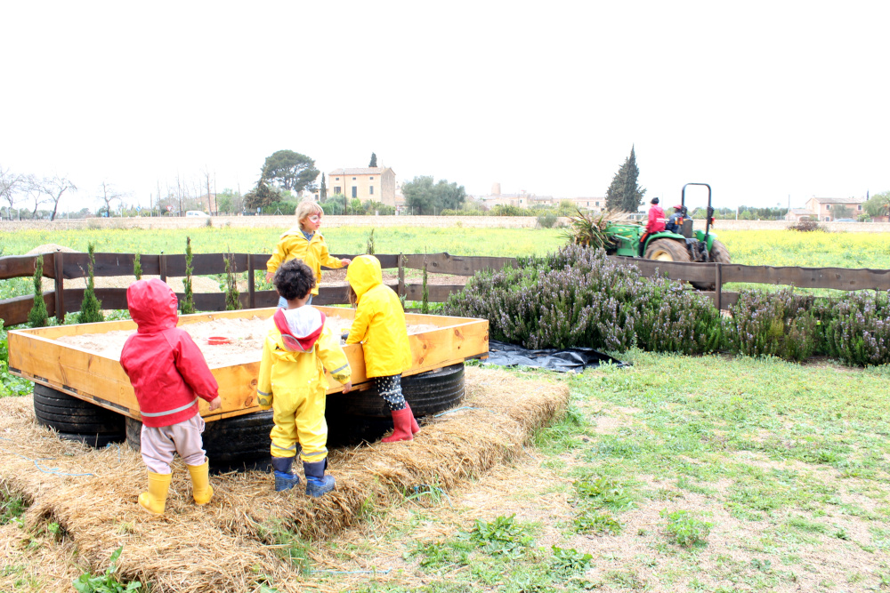 Entorno natural, Escoleta Nexes, Natural Learning (S'Hort Vell, Biniali)