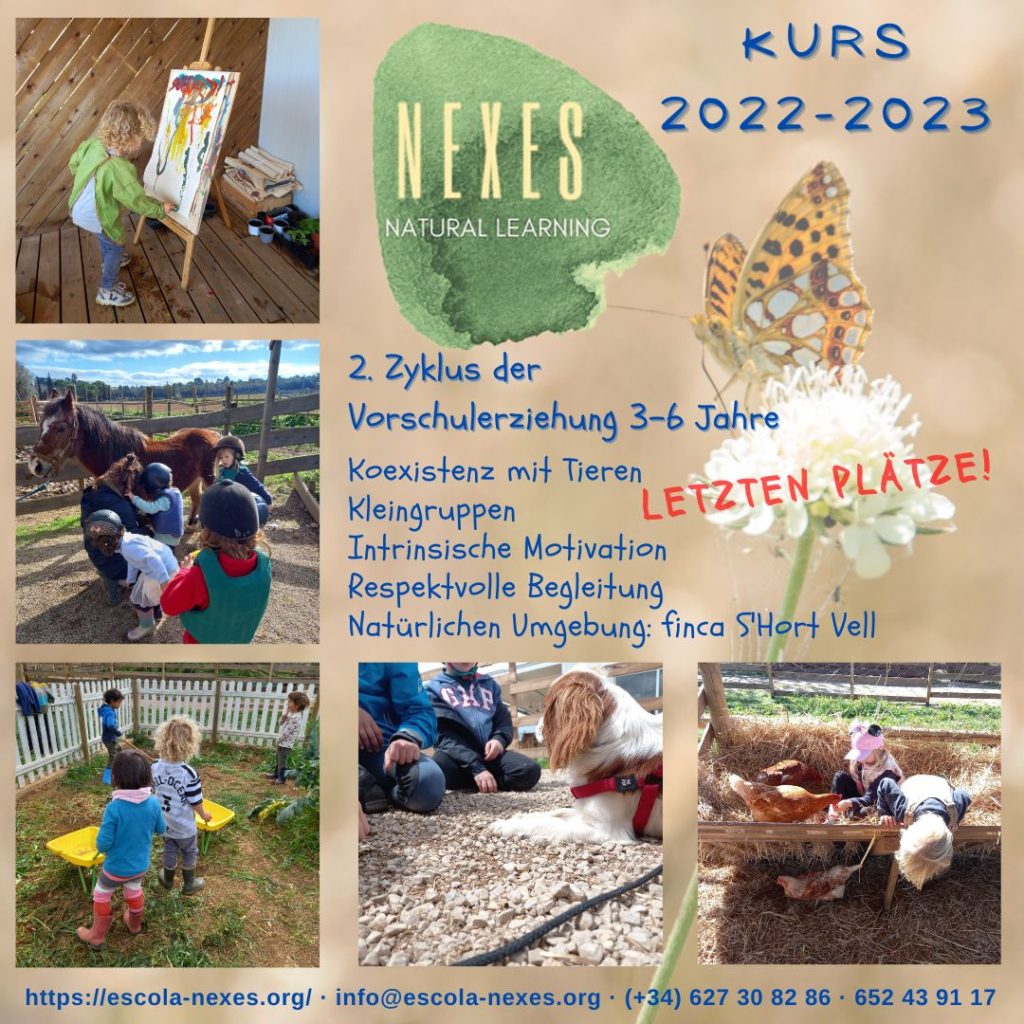 Nexes, ein ganzheitlicher Kindergarten mitten in der Natur, 2022-2023