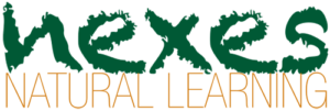 Logotipo Nexes Natural Learning (500px)