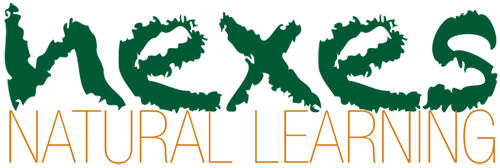 Logotipo Nexes Natural Learning (500px)