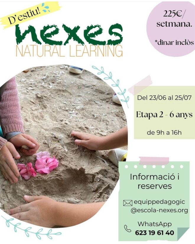 Nexes d'estiu 2025